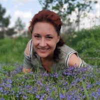 Елена Швецова