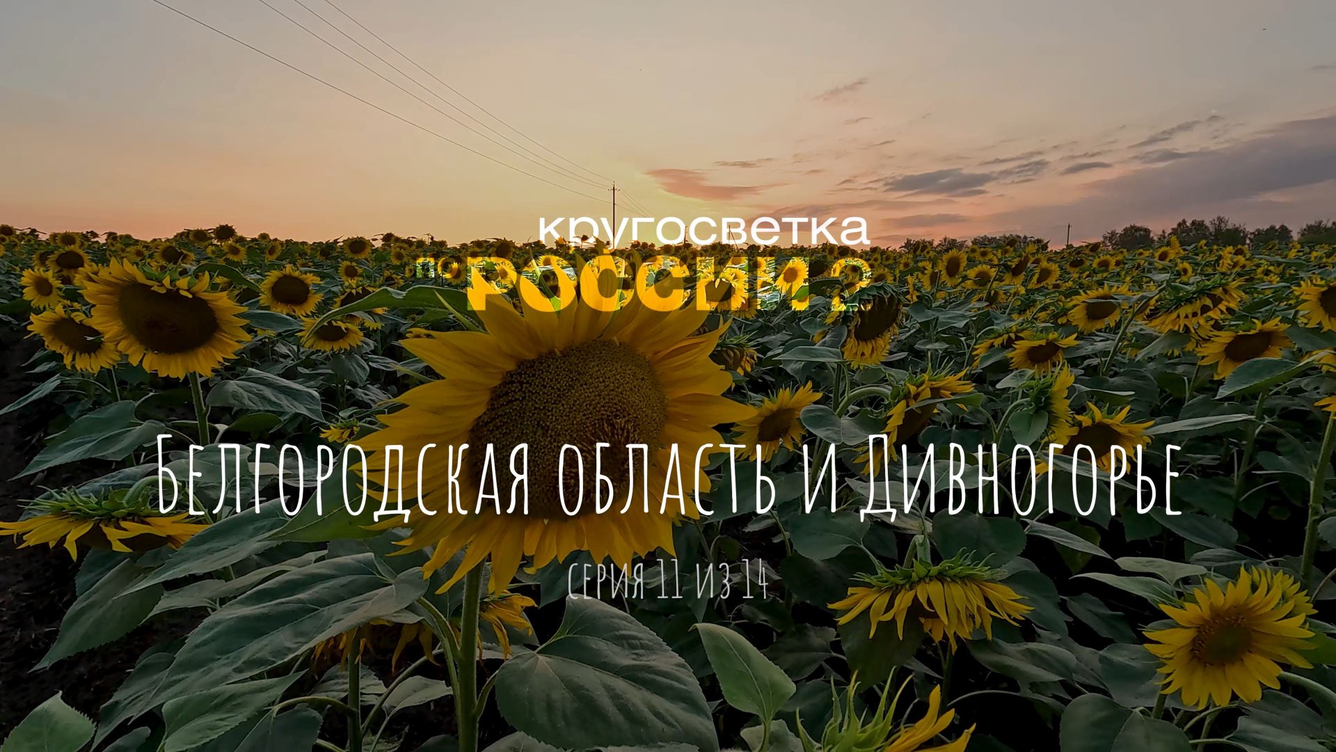 Белгородская область и Дивногорье (11/14)